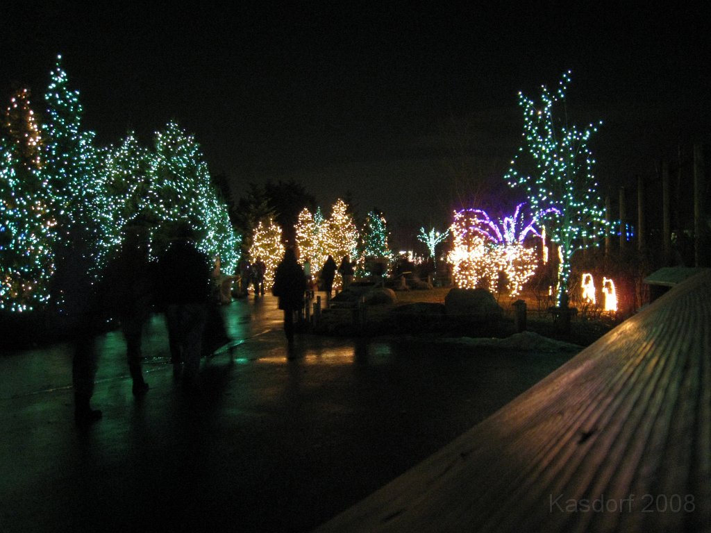 Toledo Zoo Lights 2008 019.jpg - The regular visit to the Toledo Ohio Zoo to see the Christmas Lights displays. New this trip were the "Dancing Lights", displays flashing in time with the Christmas Songs.